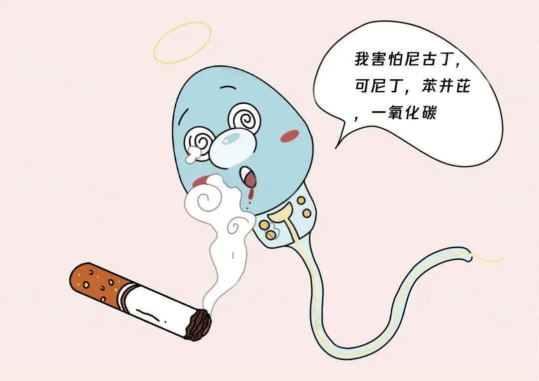 优质精子是“养”出来的，别说你不知道！