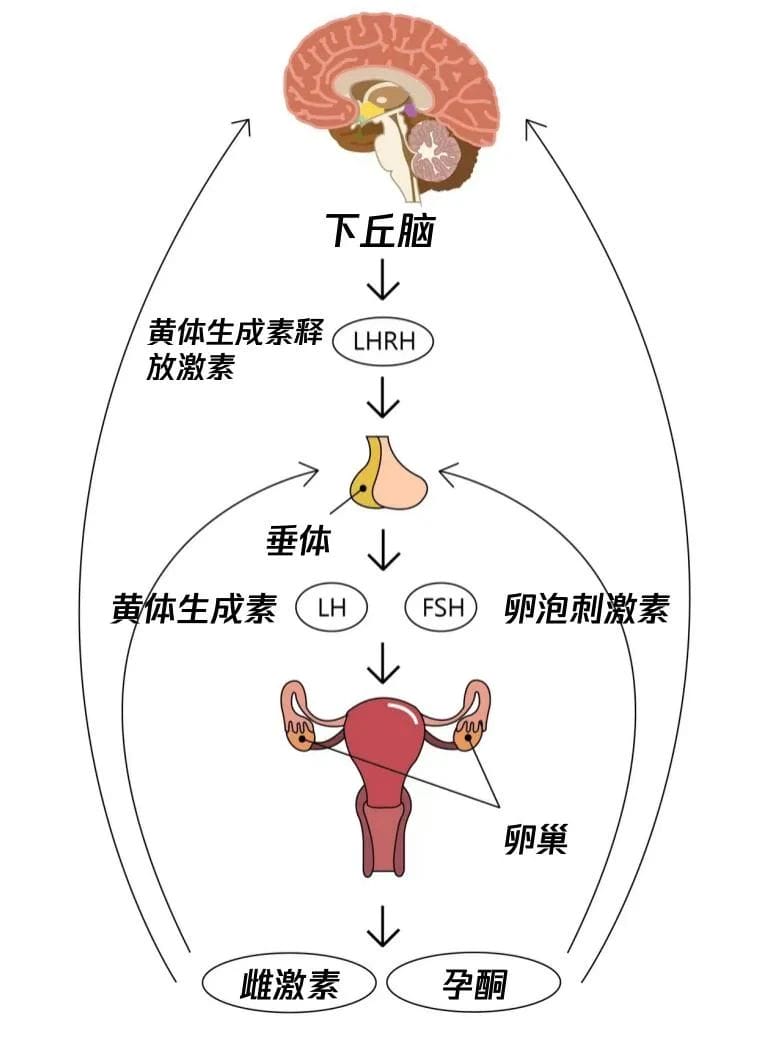 0天养卵攻略！这几个方法不允许你错过！"