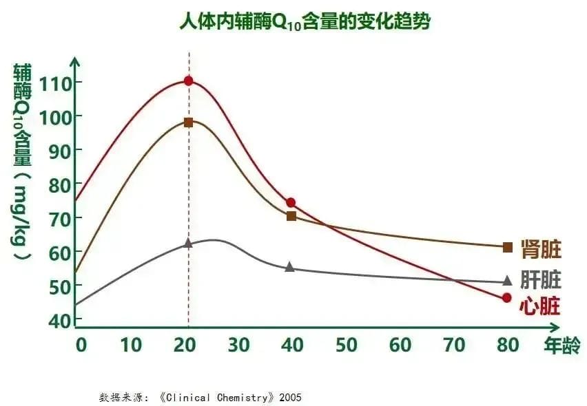 试管助孕的"好帮手"——辅酶Q10！