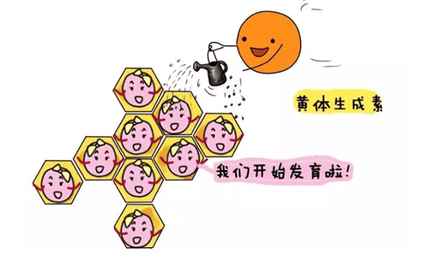 卵子质量差?别慌！教你几招！