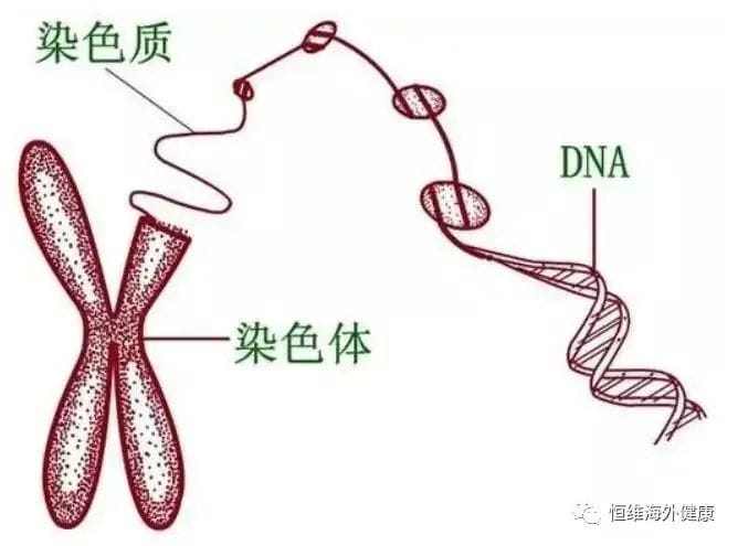 和弱精症说“再见”！用试管婴儿一招搞定弱精“男题”