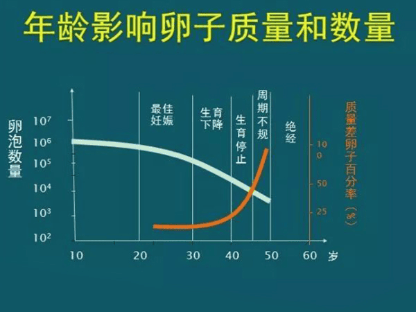 试管小知识 | 卵巢功能下降的“救星”——DHEA！