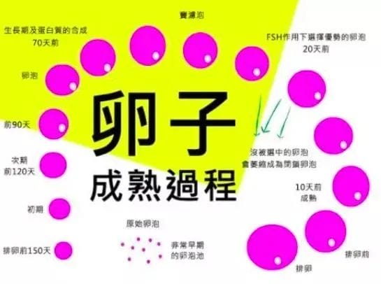 给卵宝宝加分，试管促排前90天要这样做~