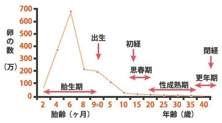 “养卵三月，用卵一时”，漂亮卵子养成记了解一下！