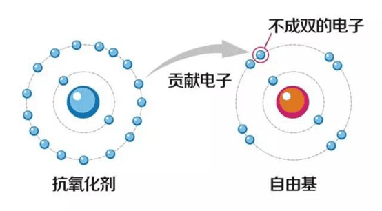 有的人年纪轻轻，精子却“不行”了