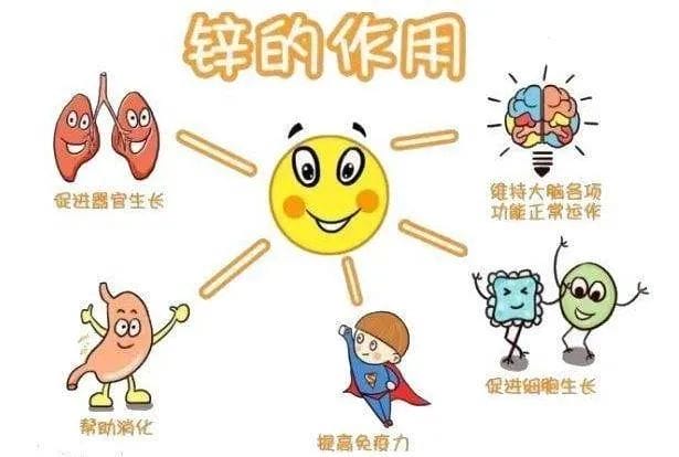 颗精子4颗不合格，是谁“偷”走了男性生育力?"