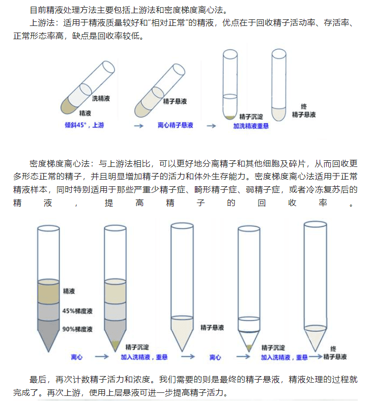 颗精子4颗不合格，是谁“偷”走了男性生育力?"