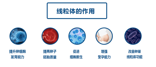 养囊的3大理由！让你不再纠结是否选择囊胚培养