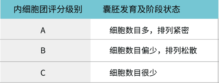 关于胚胎评级看不懂，今天一文解释清楚！