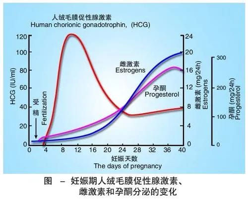 试管婴儿移植后，关于补充黄体酮的问题，今天一文讲清楚！