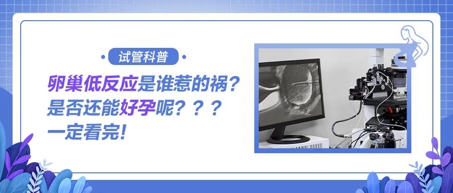 试管婴儿移植后黄体保胎，针剂注射和赛药怎么选？