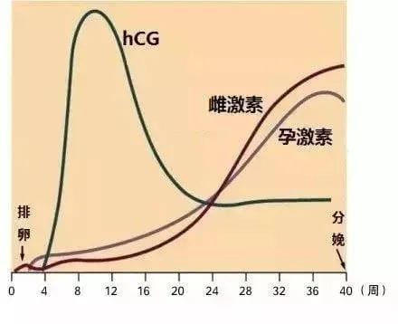 请注意！孕激素保胎真的不是剂量越大越好