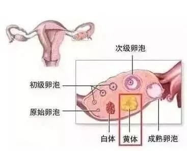 一针，两针，三针……做个试管怎么要打那么多针?怎么就无休止的呢!