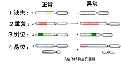 胎停育不是突如其来，只是你忽略了这几个信号！