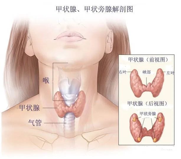 胎停育不是突如其来，只是你忽略了这几个信号！