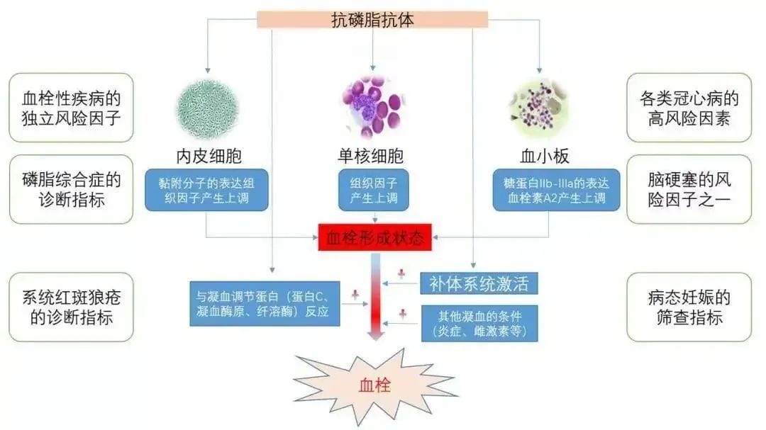 胎停育不是突如其来，只是你忽略了这几个信号！