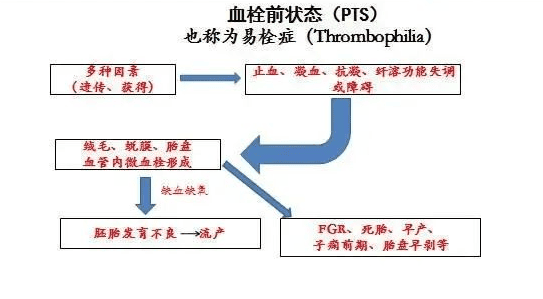 胎停育不是突如其来，只是你忽略了这几个信号！