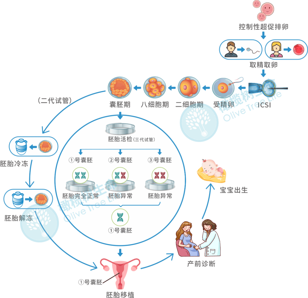 胎停育不是突如其来，只是你忽略了这几个信号！