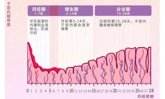 了解试管失败的4种常见情况，带你“突破重围”，迎来好孕！