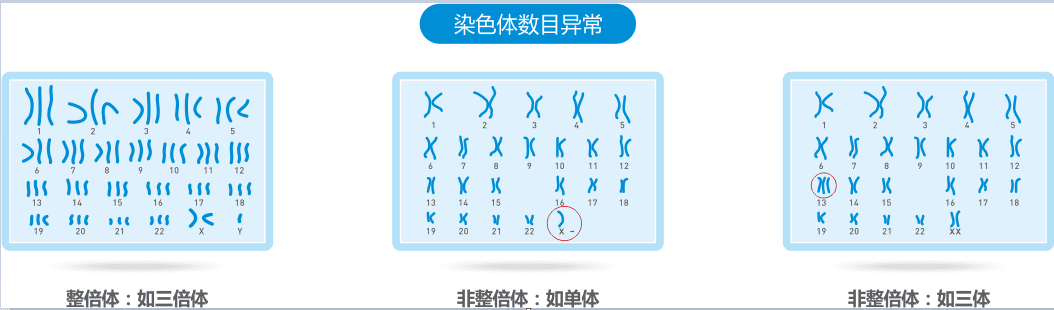 了解试管失败的4种常见情况，带你“突破重围”，迎来好孕！