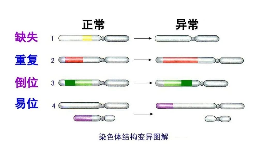 好不容易怀上却是个空囊！这究竟是怎么一回事?