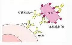 好不容易怀上却是个空囊！这究竟是怎么一回事?