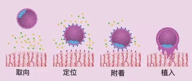 导致试管不着床的8个原因你中了吗?