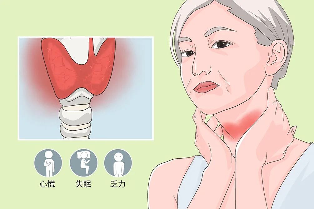 预防胚胎停育，这些关键因素千万不要忘记！