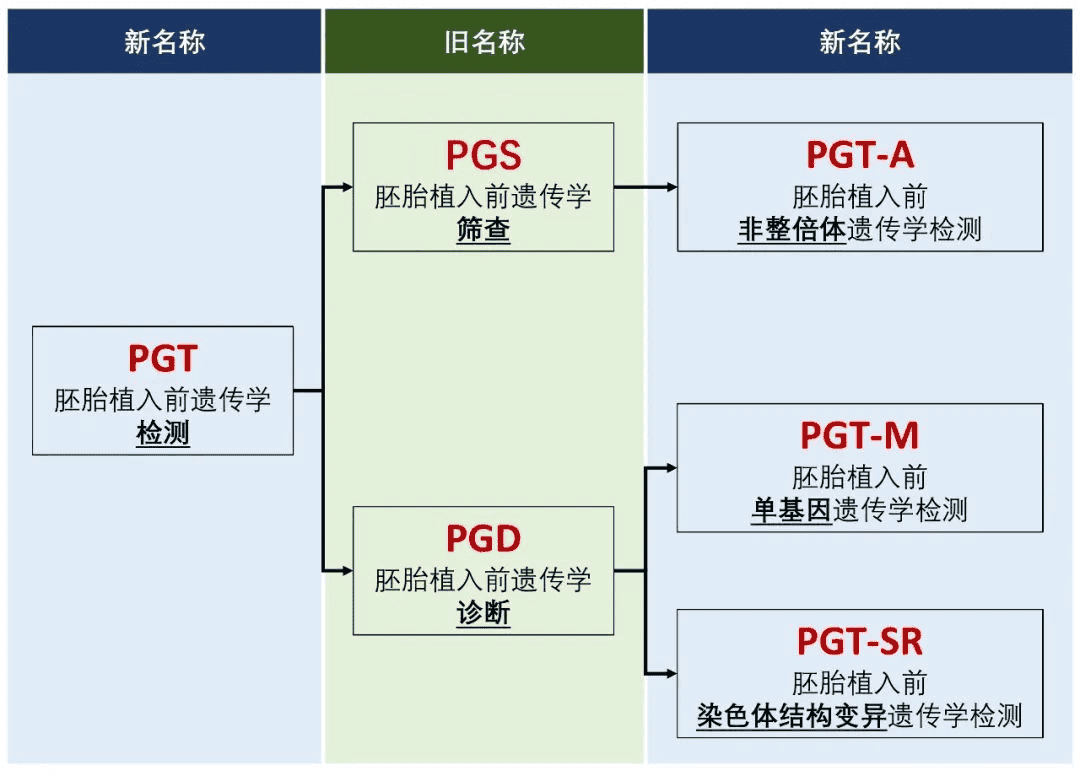 反复流产，胚胎染色体不正常？三代试管婴儿技术帮你！