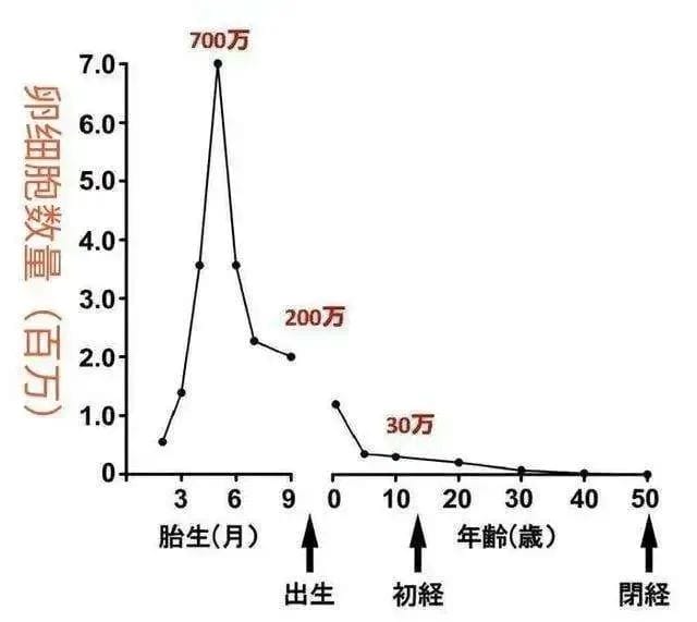 大家都是小仙女，AMH数值凭什么不一样?