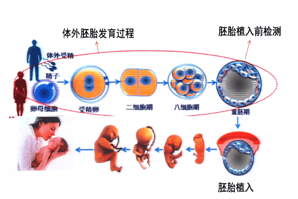 5、30、35？到底啥时候才是生孩子的黄金年龄？"