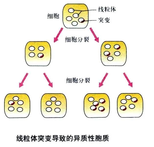 全文总结！关于男性不育那些事儿你必须要知道