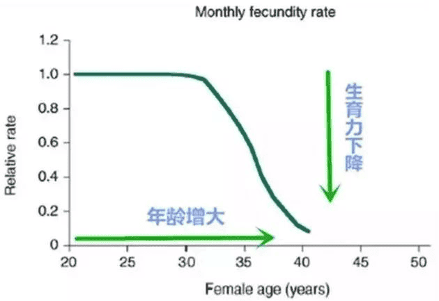 年轻卵子VS高龄卵子，生育之路该怎么办?