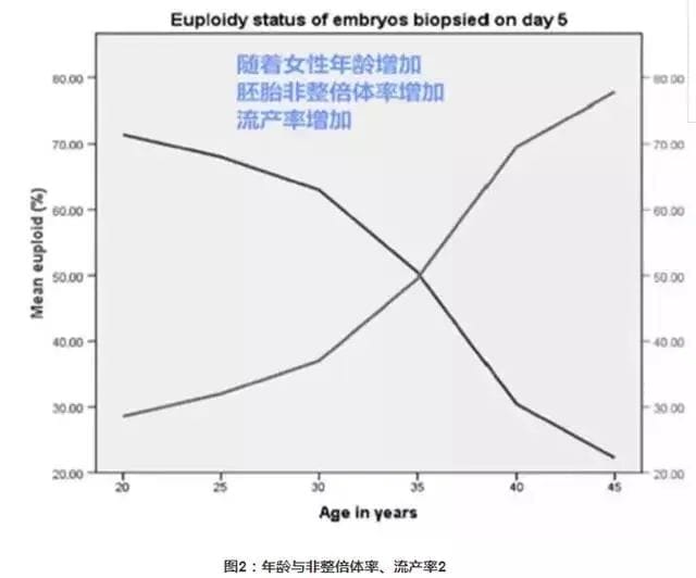 年轻卵子VS高龄卵子，生育之路该怎么办?