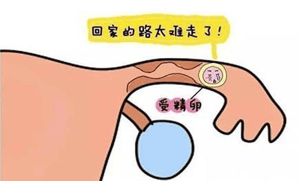 盘点一下，做试管一次成功的人，都有哪些特点？