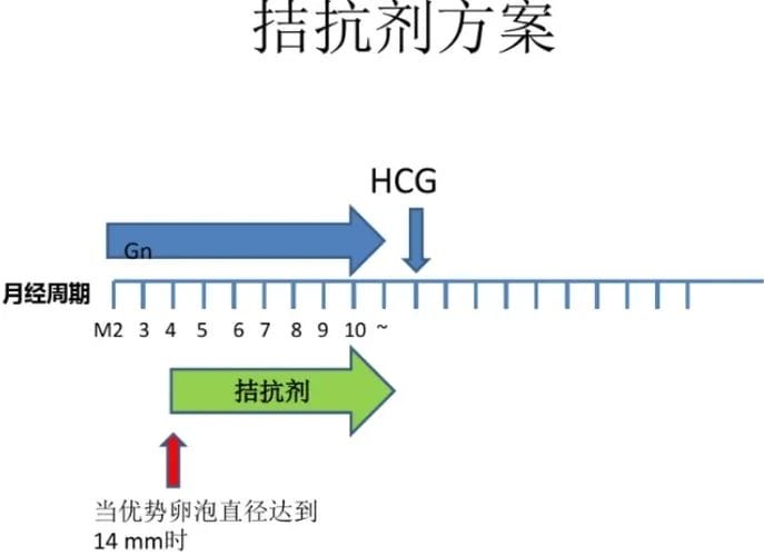 盘点一下，做试管一次成功的人，都有哪些特点？