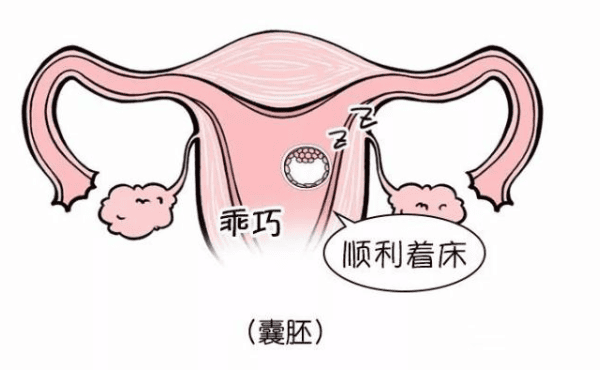 反复移植失败不妨试试这个方法，可提高试管婴儿成功率！