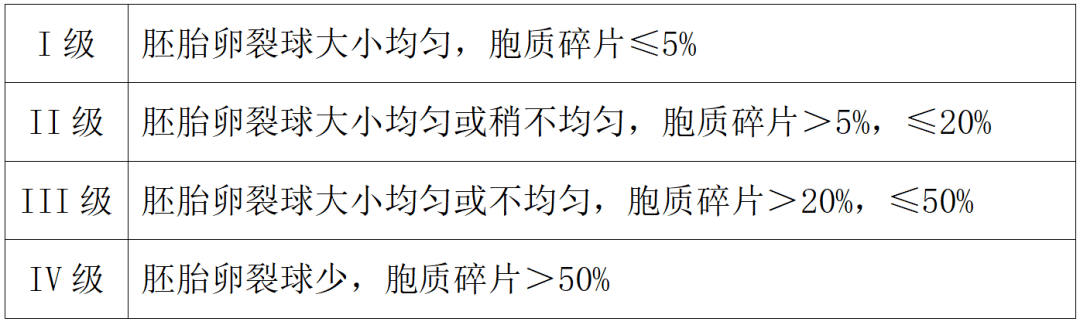 看脸的时代！快来看看胚胎界选美现场