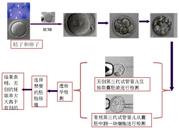 最容易忽略，却是试管失败的重要原因！