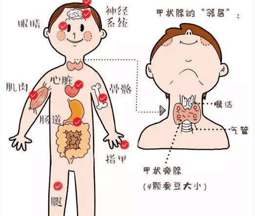 预防反复流产，千万别忽略这项检查！