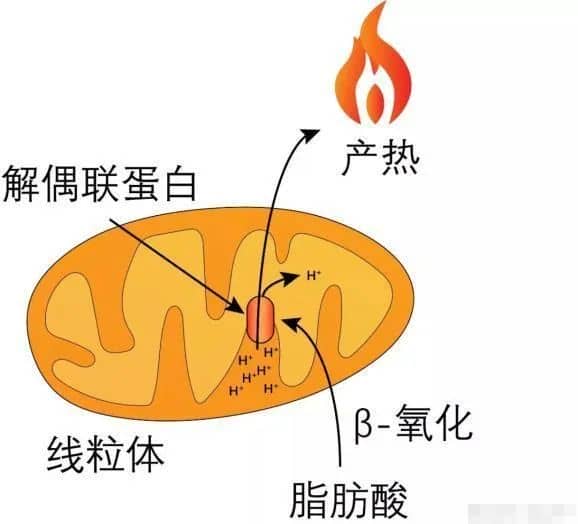 一直怀不上？九成备孕姐妹可能一开始就错了！