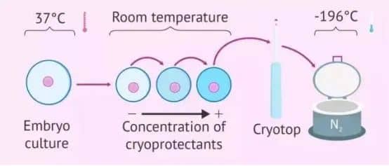 胚胎冷冻保存时间长了会影响试管成功率吗?