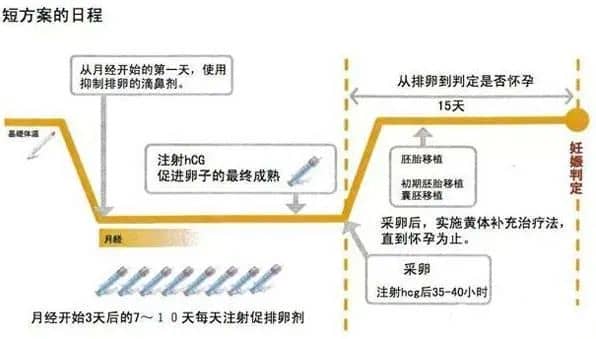 做试管婴儿，哪个促排方案成功率最高？