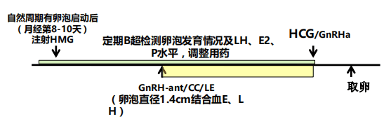 做试管婴儿，哪个促排方案成功率最高？