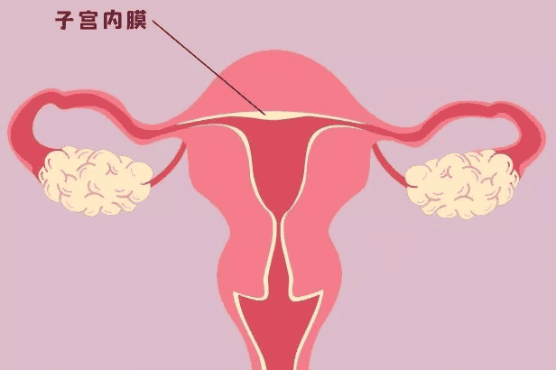 胚胎冷冻后能保存多久？你绝对想不到！