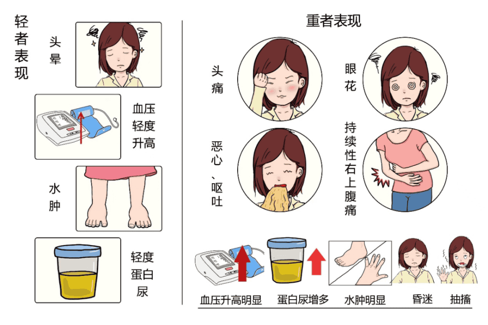 低分子肝素真的只是保胎神药？你要的真相来了