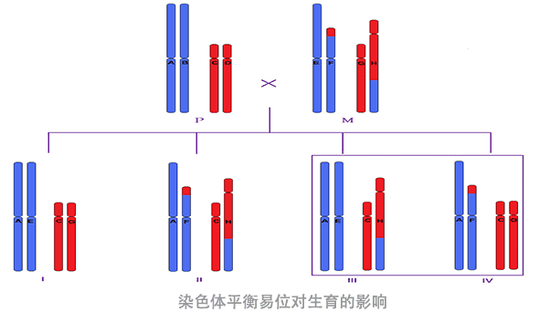 试管助孕前漏了这项检查，容易导致复发性流产！