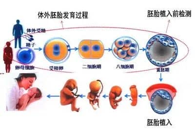 为了生个娃打几百针？做试管的女性有多难！