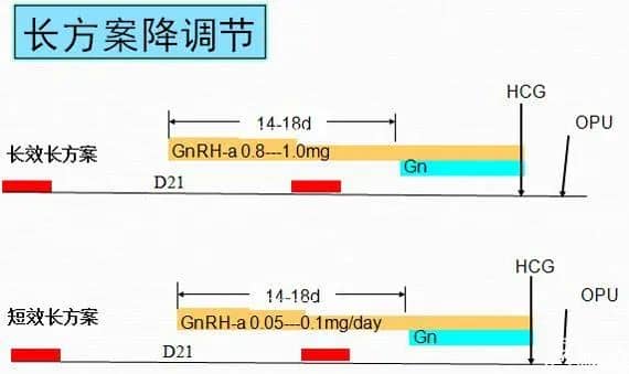 怎么用药卵泡都长不起来？有可能它才是罪魁祸首！