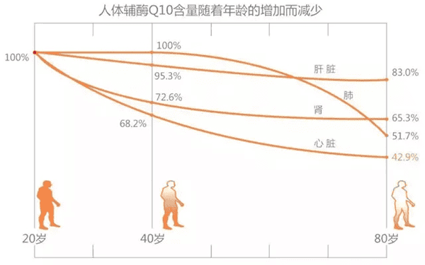 养卵必看：一文讲清改善卵子质量的关键所在！